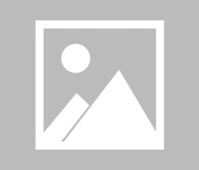 罗马诺透露齐米卡斯缺席社区盾名单，利物浦离队在即